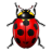XORICON IssueTracker
