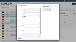 Update Issues in Bulk